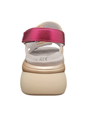 Semler Trekkingsandalen in Bunt