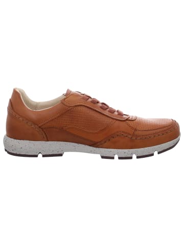 Pikolinos Sportlicher Schnürschuh in braun