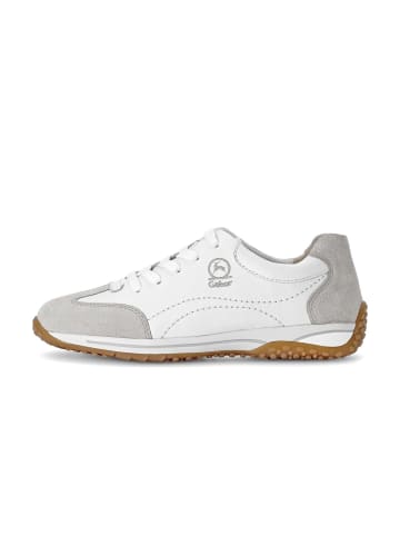 Gabor Sneaker low in weiß