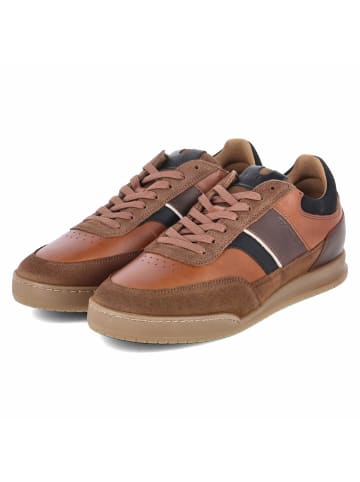 Bullboxer Schnürhalbschuh in brown