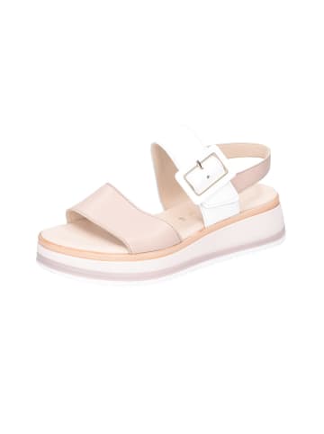 Gabor Plateausandaletten in creme/rose/weiss