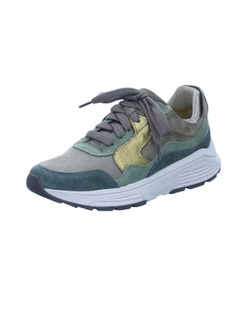 Xsensible Schnürschuhe Golden Gate in Moss Kombi