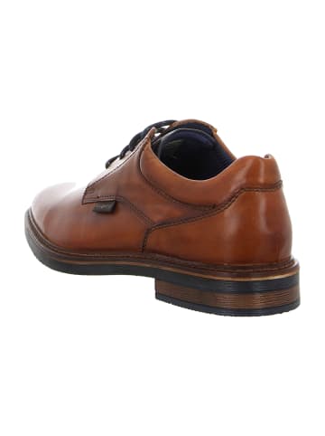 Bugatti Elegante Schnürschuhe in Braun