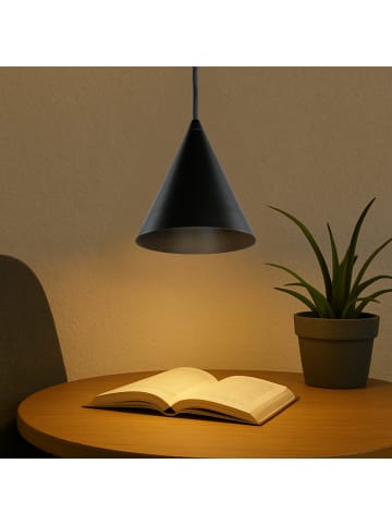 Licht-Erlebnisse Pendelleuchte Ø 11 x (T)130 cm in SchwarzSchwarz