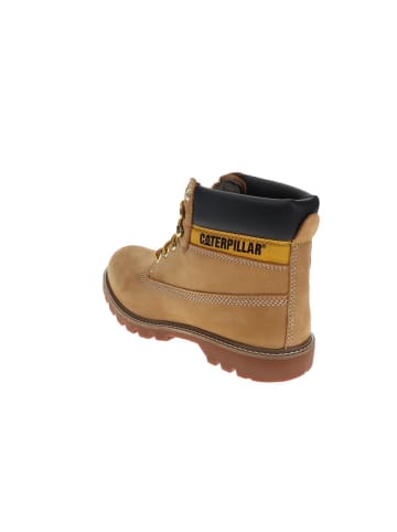 Caterpillar Stiefeletten in Beige