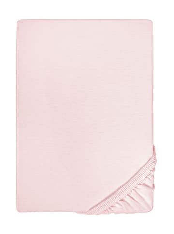 Biberna Spannbetttuch Feinjersey in rose