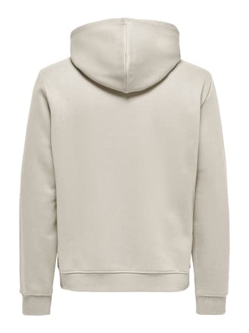 ONLY & SONS Kapuzenpullover in Silver Lining