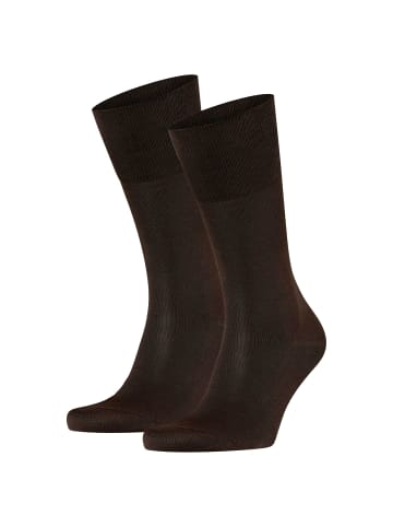 Falke Socken 2er Pack in Dunkelbraun