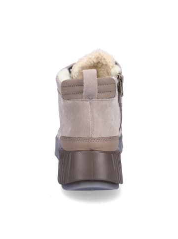 ara Schnürboot Davos in Grau