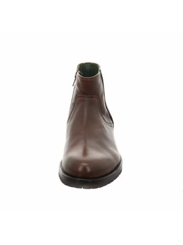 Galizio Torresi Stiefeletten/Boot in braun