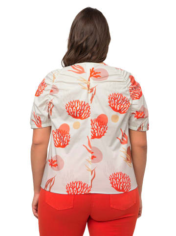 Ulla Popken Blusentop in popcorn