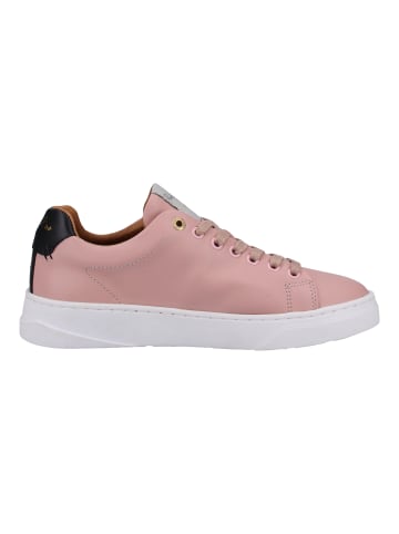 Pantofola D'Oro Sneaker in Nude