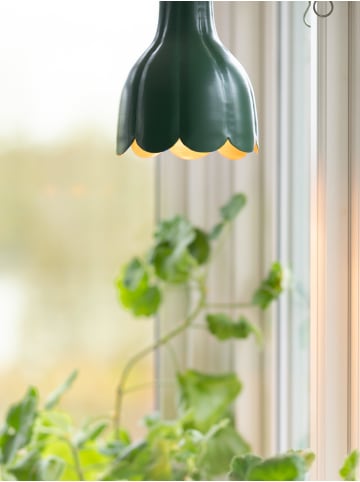PR Home Tulippa Pendelleuchte