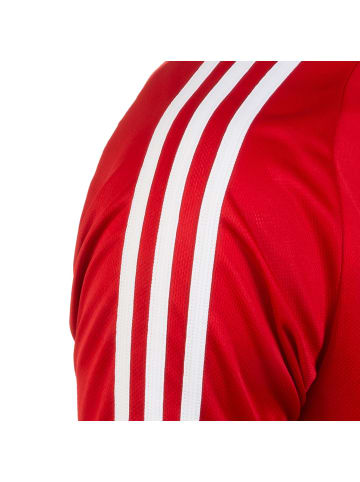 adidas Performance Trainingsshirt Tiro 19 in rot / weiß