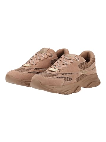 Steve Madden Sneaker FRONT ROW in Tan