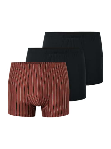Schiesser Trunk 95/5 in sortiert 13