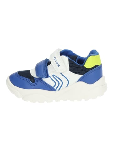 Geox Sneaker in Weiß/Blau