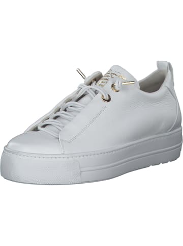 Paul Green Schnürschuhe in Weiß