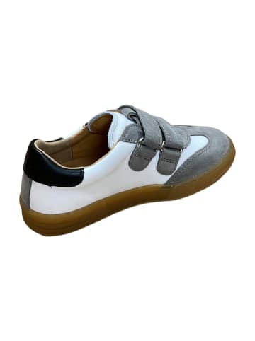 Froddo Klettschuhe in Grau