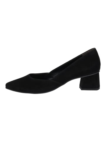 Paul Green Pumps in Schwarz