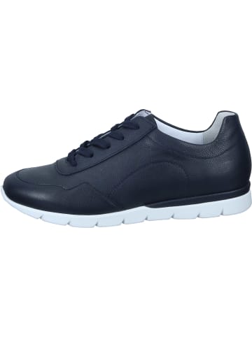 Semler Schnürschuhe in ocean