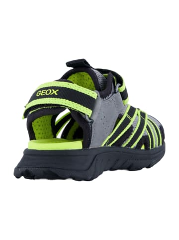 Geox Sandalen in Grau