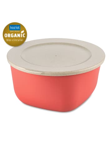 koziol CONNECT BOX 2 * - Box mit Deckel 2l in nature coral