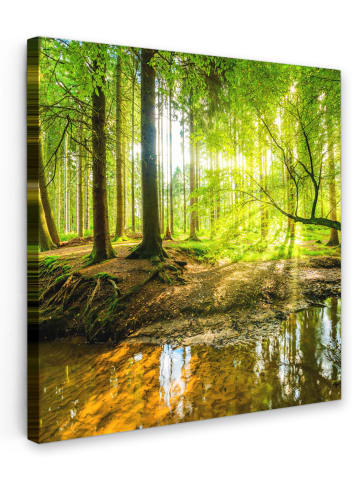 OnlyWow Leinwand Bilder Waldlicht