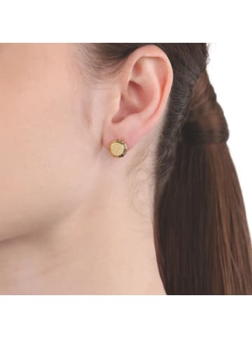 JOOP! Ohrstecker Edelstahl, IP gold in Gold