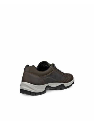 Ecco Wanderschuhe für Herren in grau