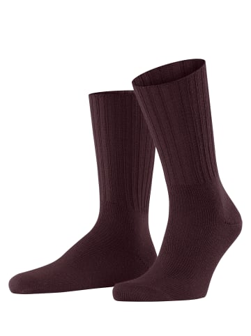 Falke Socke NELSON in Barolo