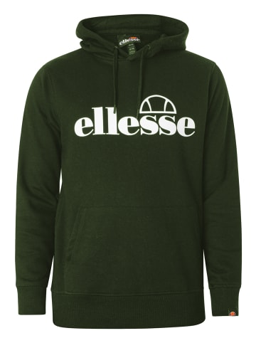 ellesse Sweatshirt Oodia OH Hoody  in grün