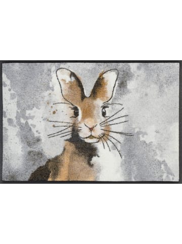 wash+dry Fußmatte Hopps in grau