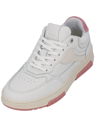 palado Schnürschuhe in weiß/rosa/beige