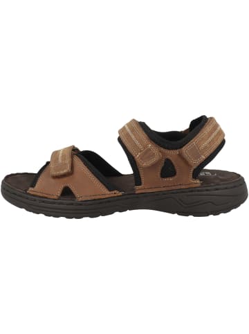 Camel Active Sandale 58TRA01 in braun