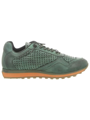 Cetti Sneaker Low in grün