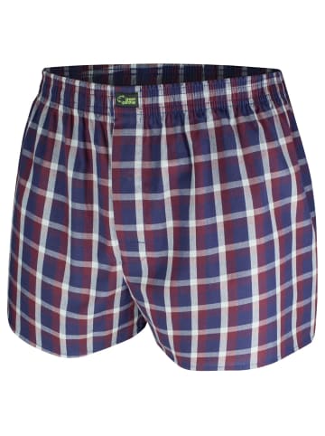 green panther Webboxershorts 3er Pack in Rot / Karo