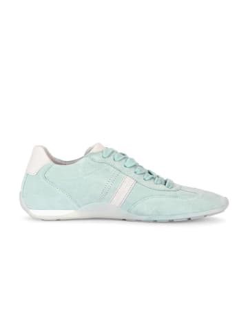 Gabor Sneaker low in türkis