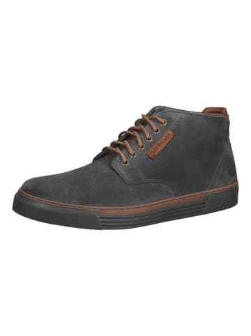 Pius Gabor Sneaker in Grau/Braun