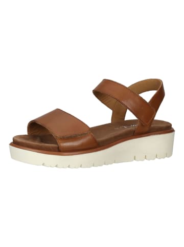 ara Sandalen in Cognac