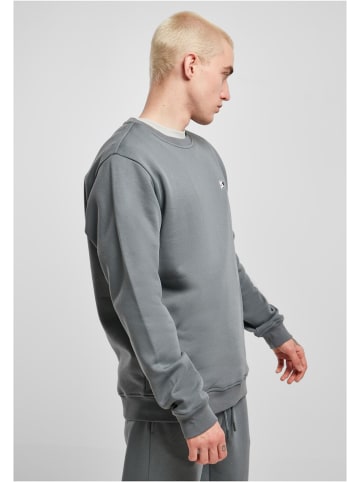 Starter Black Label T-Shirt in Grau