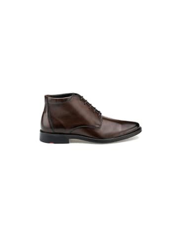 LLOYD CORE 335 CORE 335 in moro