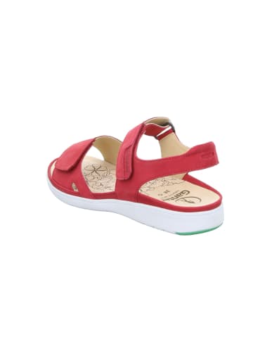 Ganter Pantolette in rot