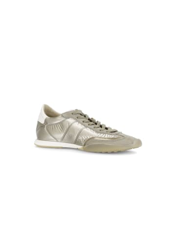 Gabor Sneaker low in grün