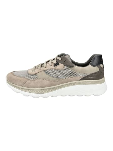 Geox Sneaker in Sand