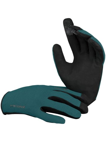 IXS CARVE GLOVES in Grau