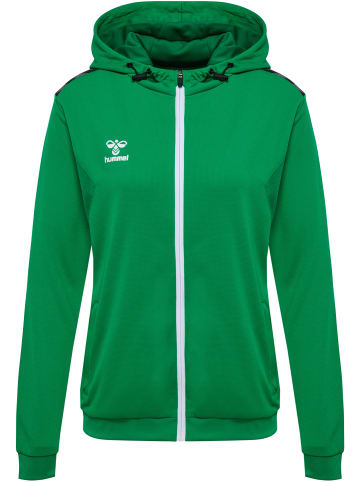 Hummel Hummel Hoodie Hmlauthentic Multisport Damen Atmungsaktiv Feuchtigkeitsabsorbierenden in JELLY BEAN