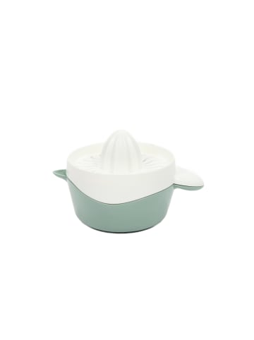 Excellent Houseware Zitruspresse mit Behälter in Hellgrün, (B) 12,5 x (H) 10,5 x (L) 17 cm