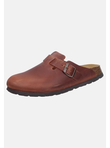 Dr. BRINKMANN Clogs Nerpio in Braun