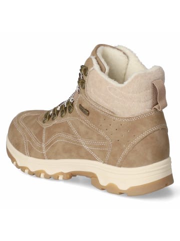 Jane Klain Schnürstiefel in taupe